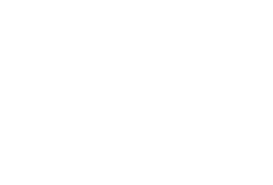 NorthStar Christmas Lights